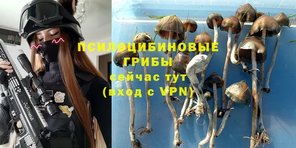 гидропоника Армянск